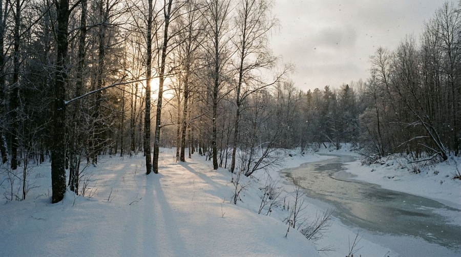 Winter nature, snow, low sunlight