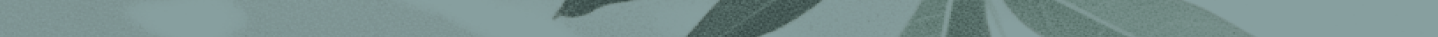 Type a description of this image